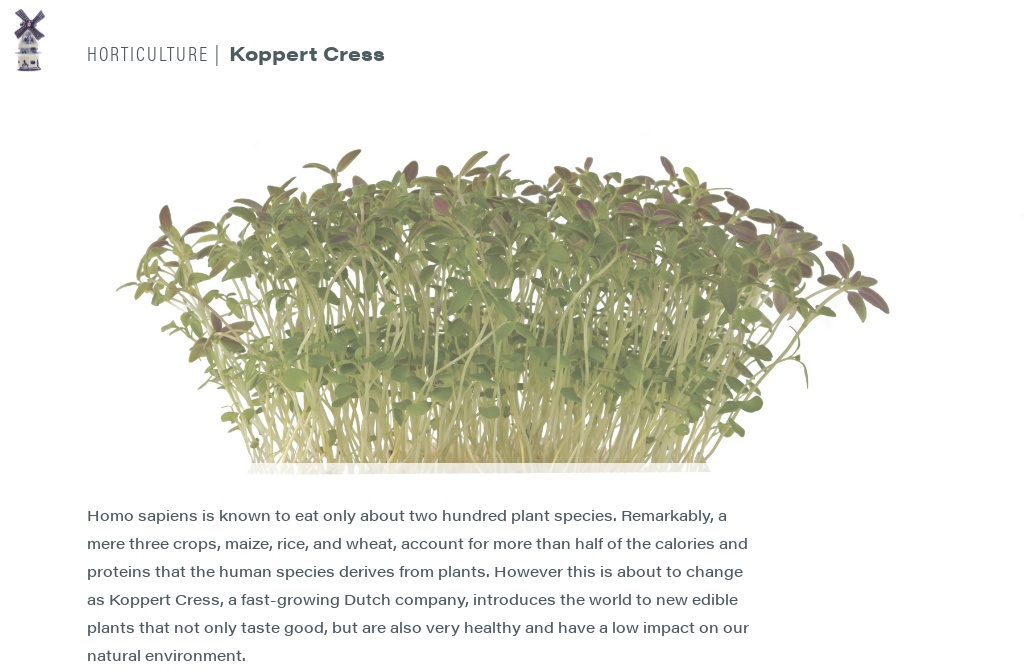 Garden Cress (BIO) - Koppert Cress