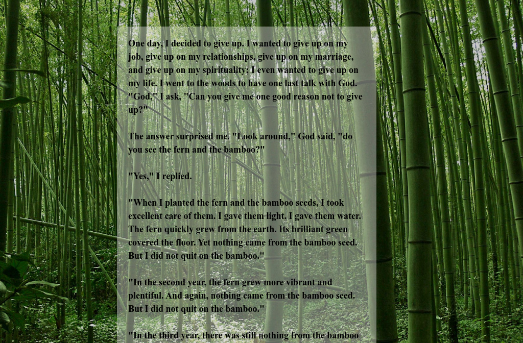 fern-bamboo-parable