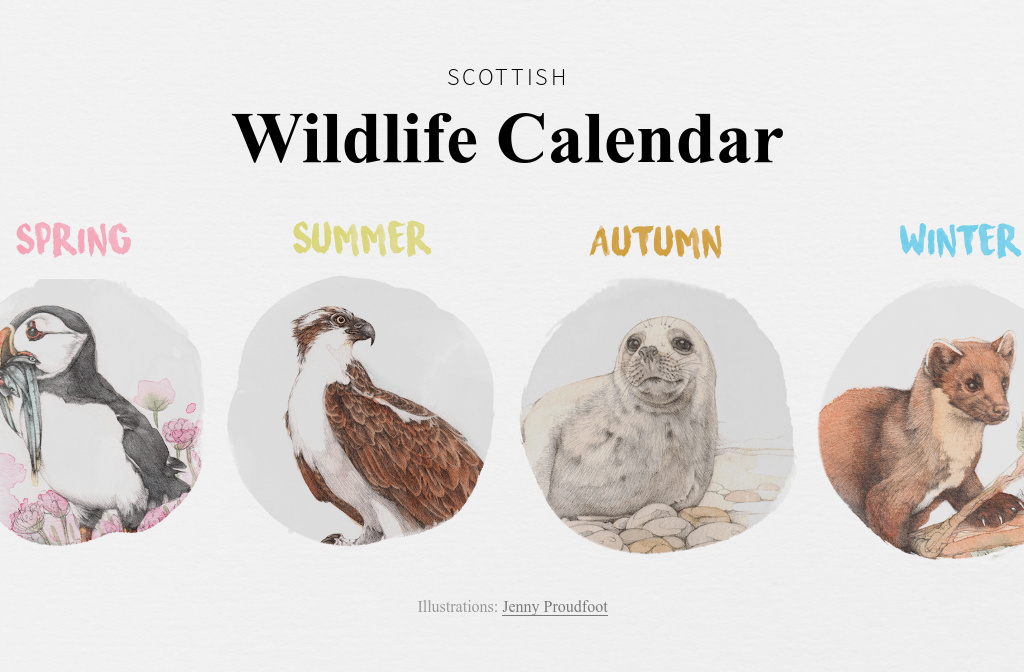 Scottish Wildlife Calendar VisitScotland