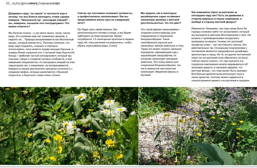Проект "Заповедный луг" и другие городские "природные мини-сады" IN/EX ...