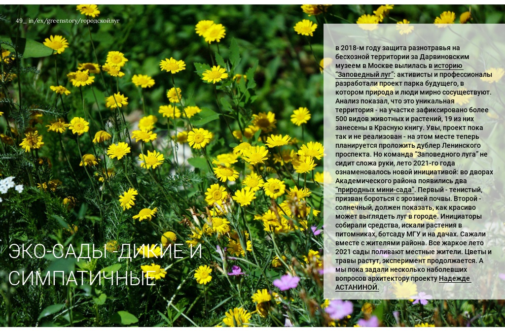 Проект \"Заповедный луг\" и другие городские \"природные мини-сады\" IN/EX ...
