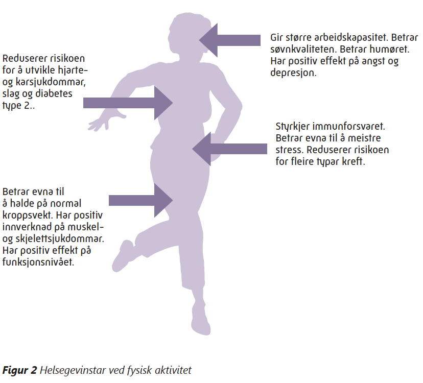 Fysisk Aktivitet I Arbeidslivet — 2 Hvorfor Fysisk Aktivitet?