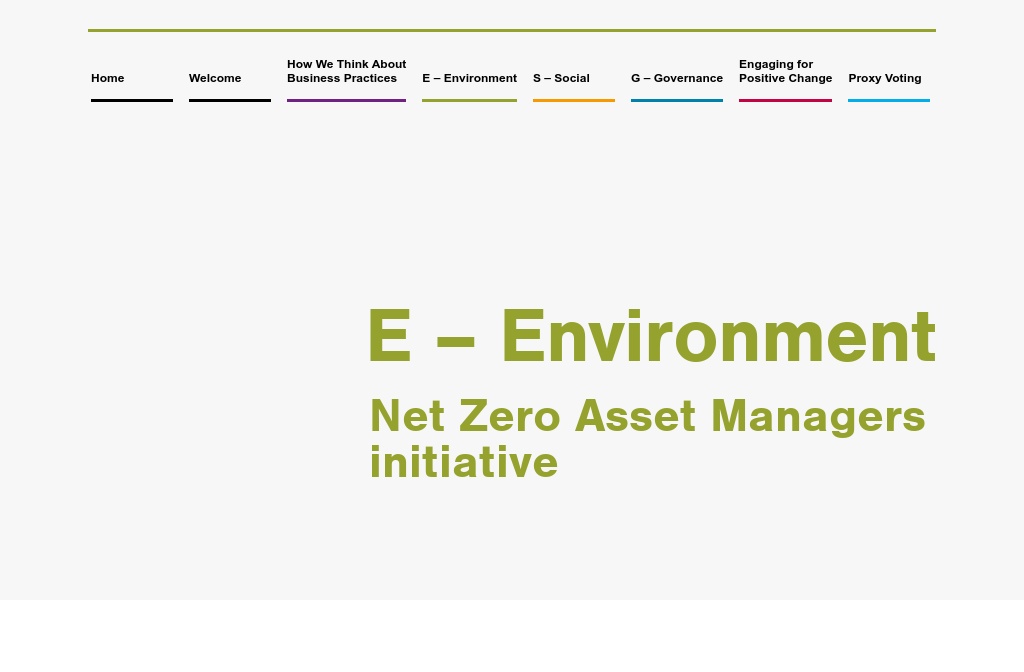 Baillie Gifford Positive Conversations 2021 — Environment Net Zero