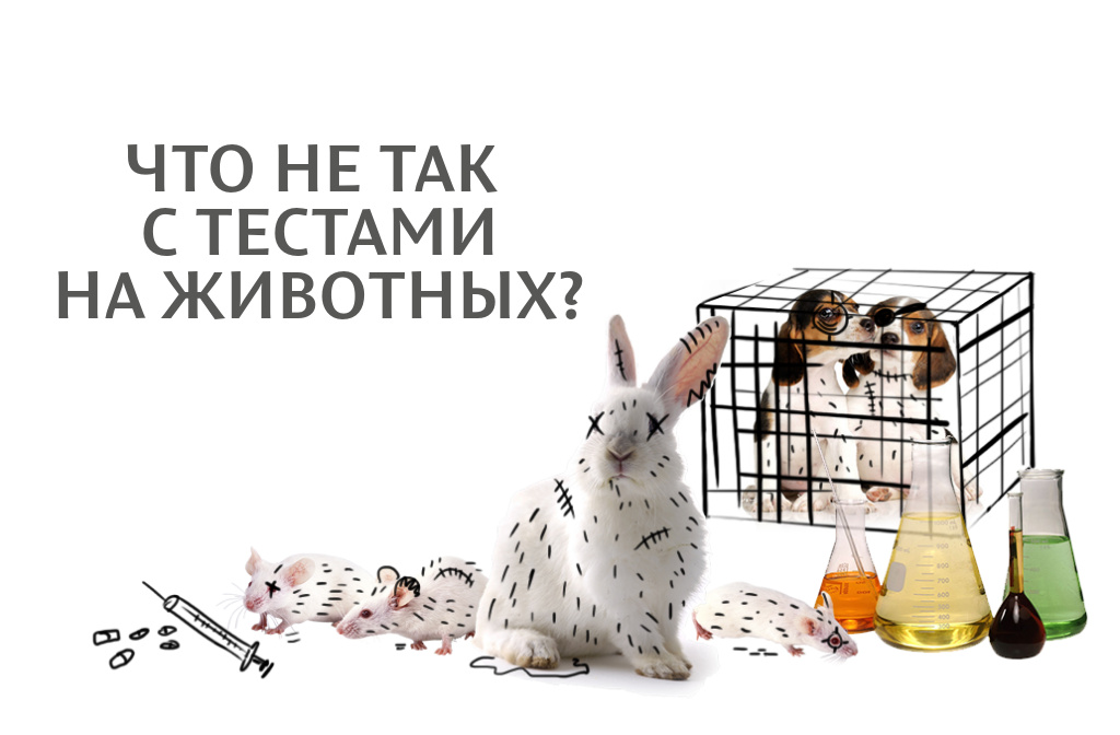 Тестирование косметики на животных проект