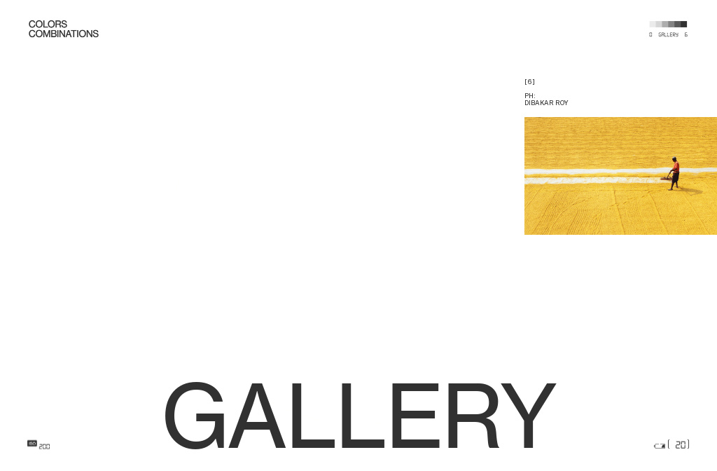 Colors Combinations — Saffron