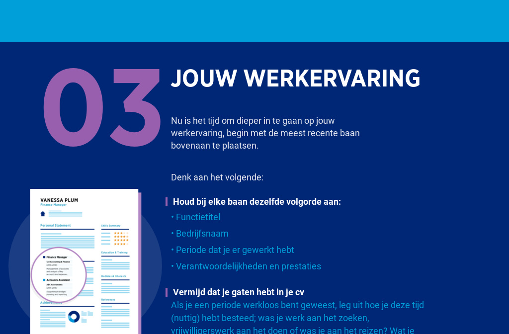 Hays Cv Gids Nederland Werkervaring