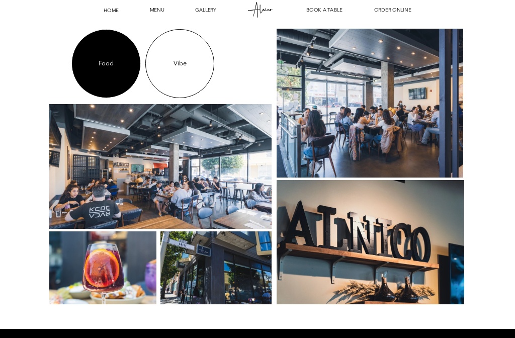 Alnico SF — Vibe Gallery